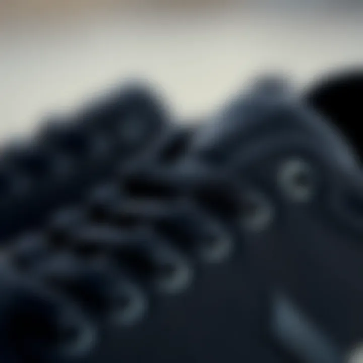 Quality Materials of Etnies Close-up of the materials used in Etnies shoes