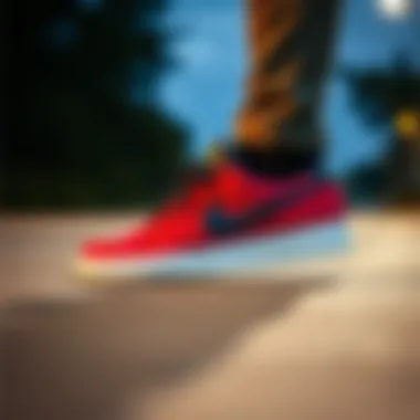 Cultural Impact of the Nike SB Shane T in Skateboarding Cultural influence of Nike SB Shane T in skateboarding