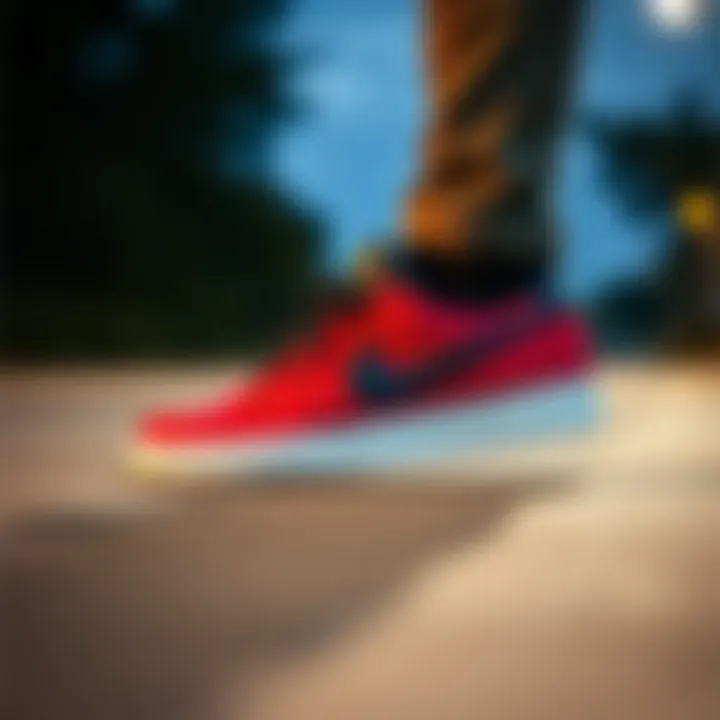 Cultural Impact of the Nike SB Shane T in Skateboarding Cultural influence of Nike SB Shane T in skateboarding