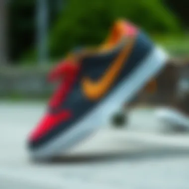 Unique Design Elements of the Nike SB Shane T Nike SB Shane T showcasing unique design elements