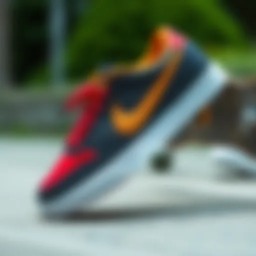 Unique Design Elements of the Nike SB Shane T Nike SB Shane T showcasing unique design elements