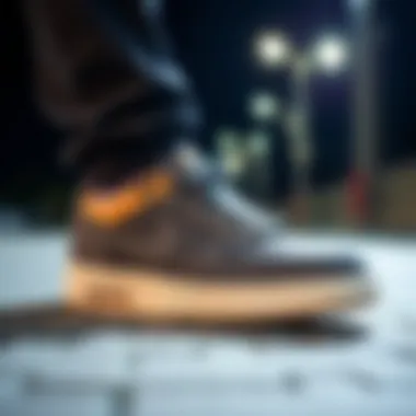 High-Performance Materials of the Nike SB Shane T Materials used in the Nike SB Shane T for performance