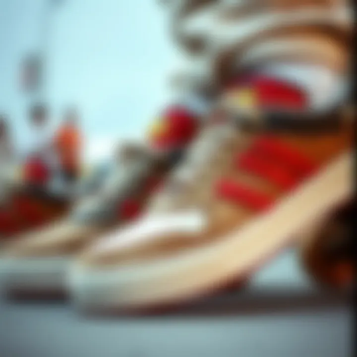 Close-Up of Functional Skate Shoes A close-up of skate shoes blending style and functionality