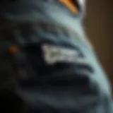 Fabric Details of Skinny Dickies A close-up view of skinny Dickies showcasing their fabric texture and design.