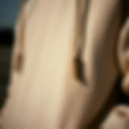 A close-up view of the Brixton hoodie showcasing its unique fabric texture and stitching details.