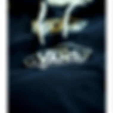 Vans logo prominently featured on apparel