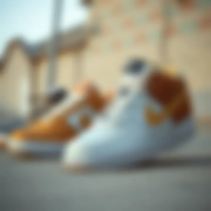 Comparison with Other Skate Shoes Comparison of Nike Air Force 1 with other popular skate shoes