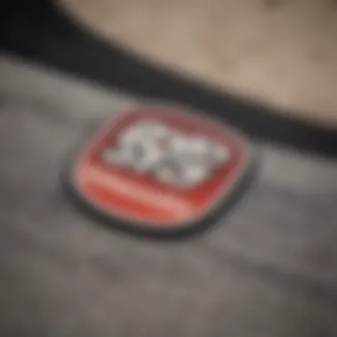 Logos of Influential Skate Brands Close-up of popular skateboarding brands logo on clothing