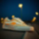 Artistic representation of Sun and Moon Vans design elements