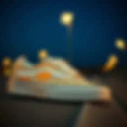 Artistic representation of Sun and Moon Vans design elements