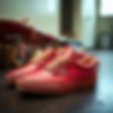 Customization of Red Leather Vans A collection of customized red leather Vans showcasing personalization options