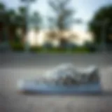 Vans checkered shoes displayed in a skate park setting.