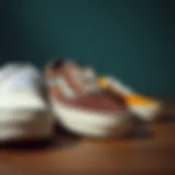 Historical Vans skate shoes showcasing their evolution over decades