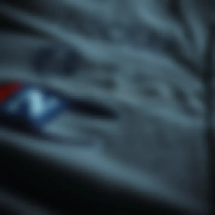 Detail of the Grey Champion T-Shirt A close-up view of the grey champion t-shirt showcasing its fabric texture and logo.