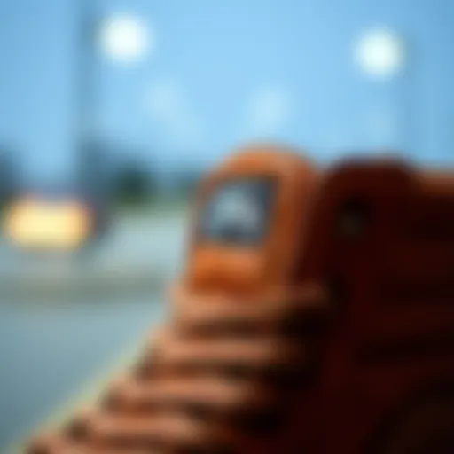 Textural Detail of Vans SK8 Hi MTE Close-up view of Vans SK8 Hi MTE in brown leather showcasing texture